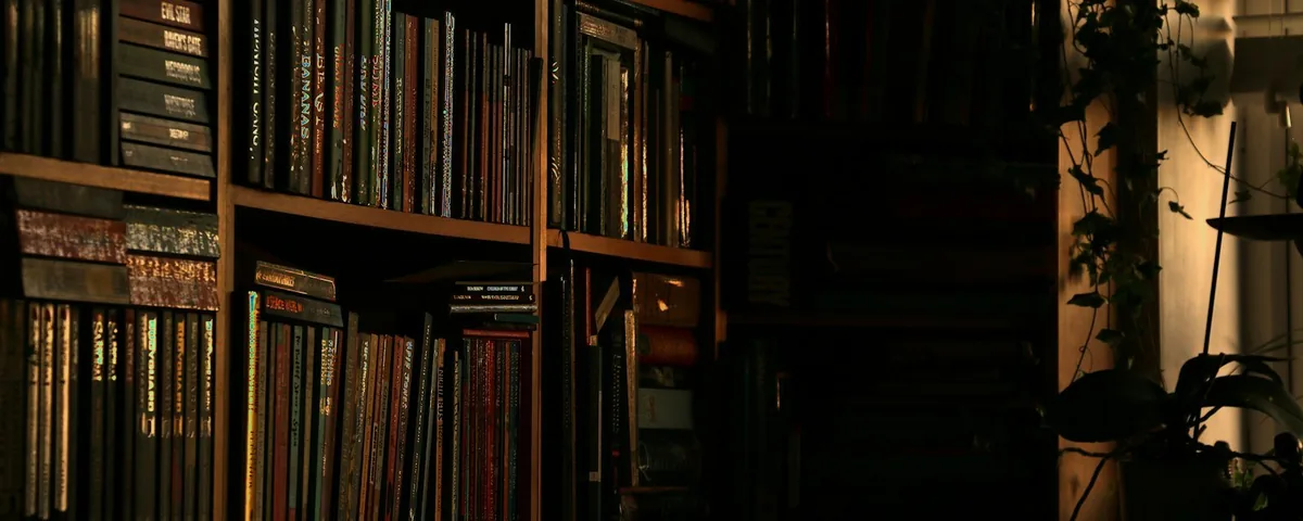A warm-lit bookshelf