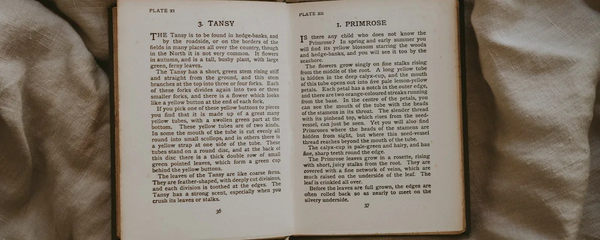 An open vintage book