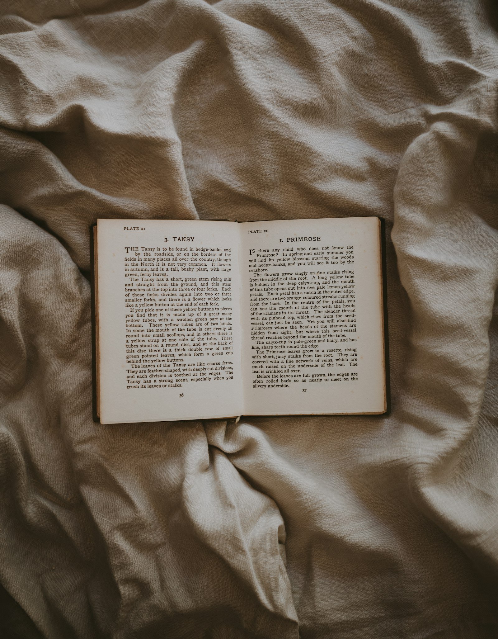 An open vintage book